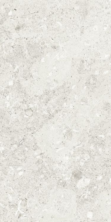 Sea Luster Bianca Matte 12 x 24